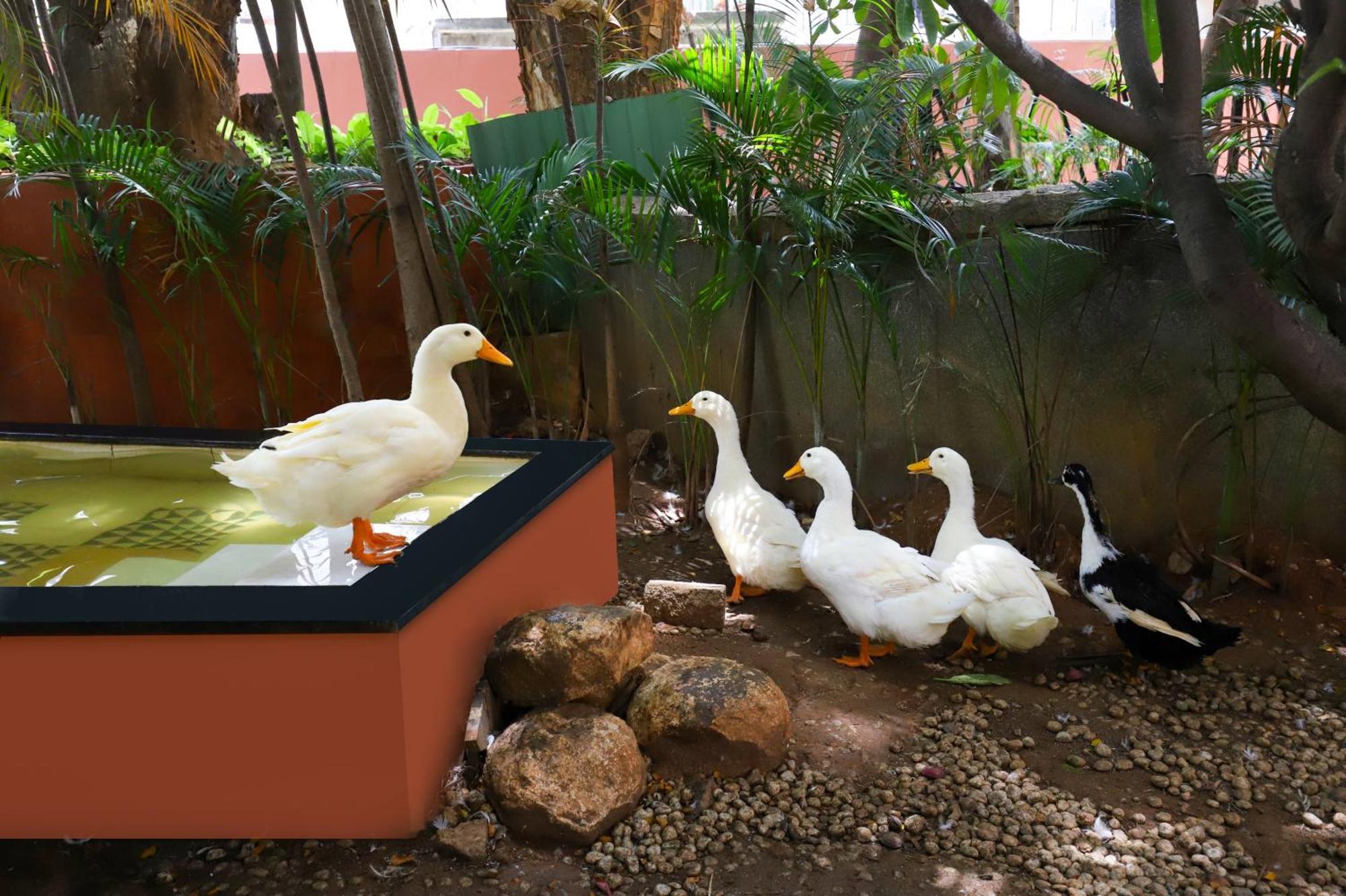 Lemon Tree Suites, Whitefield, Bengaluru Esterno foto