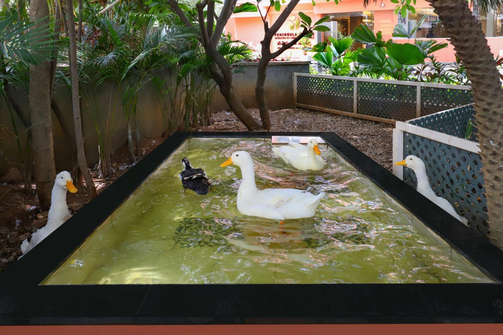 Lemon Tree Suites, Whitefield, Bengaluru Esterno foto